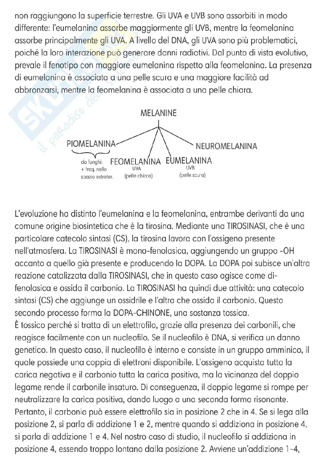 Chimica delle sostanze organiche naturali  Pag. 66
