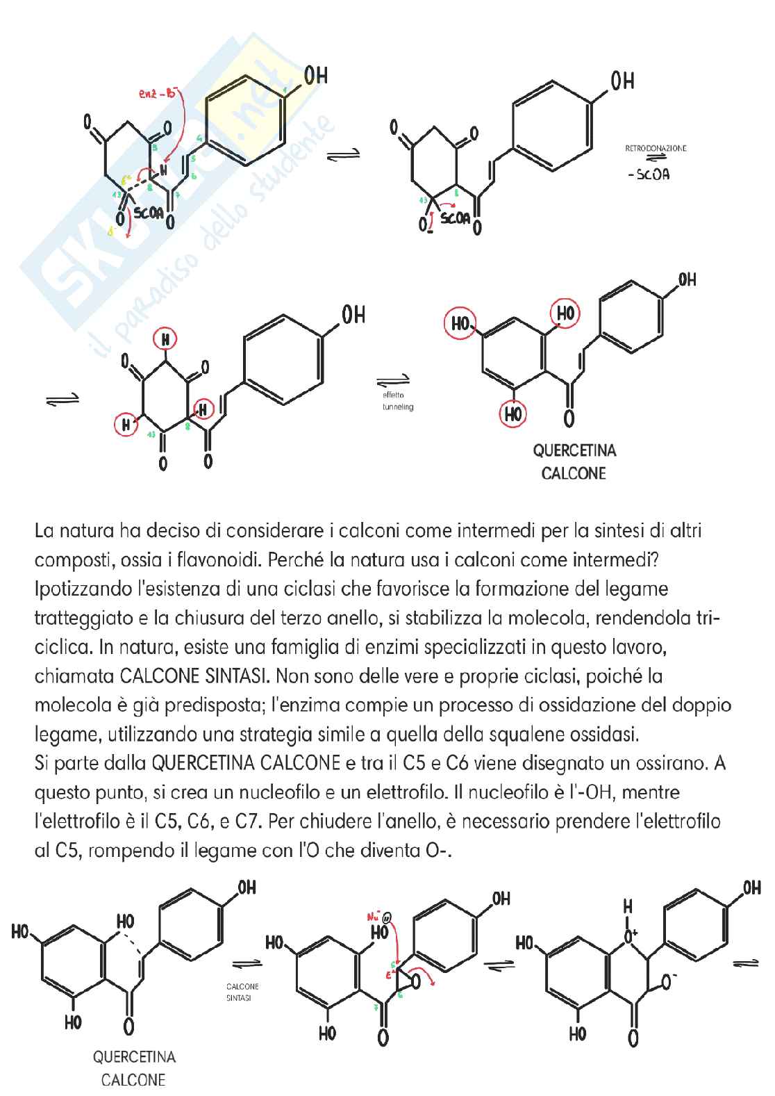 Chimica delle sostanze organiche naturali  Pag. 76