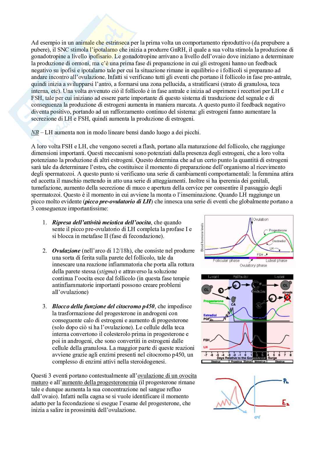 Fisiologia 2 (Apparato riproduttore) Pag. 6