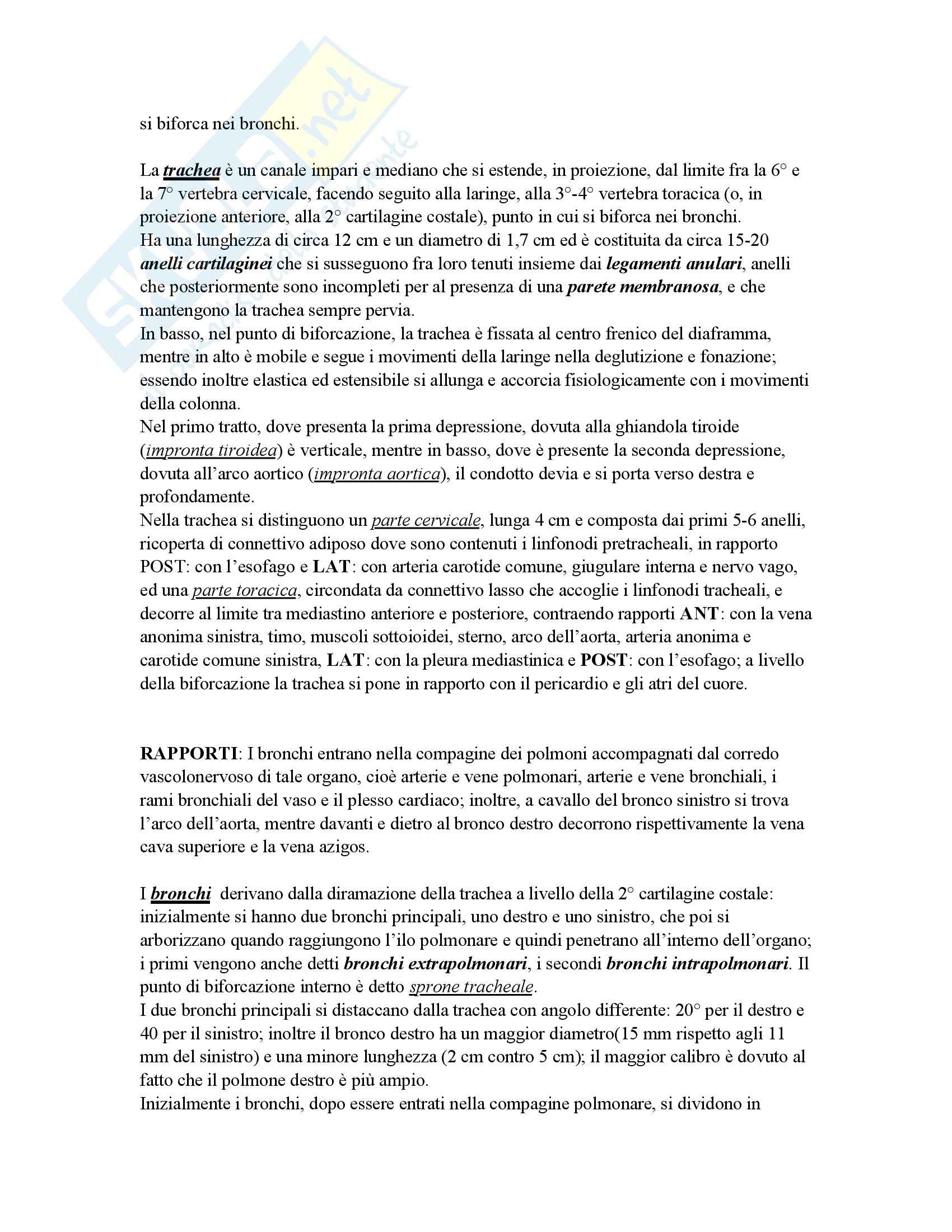 Medicina - apparati - Appunti Pag. 111
