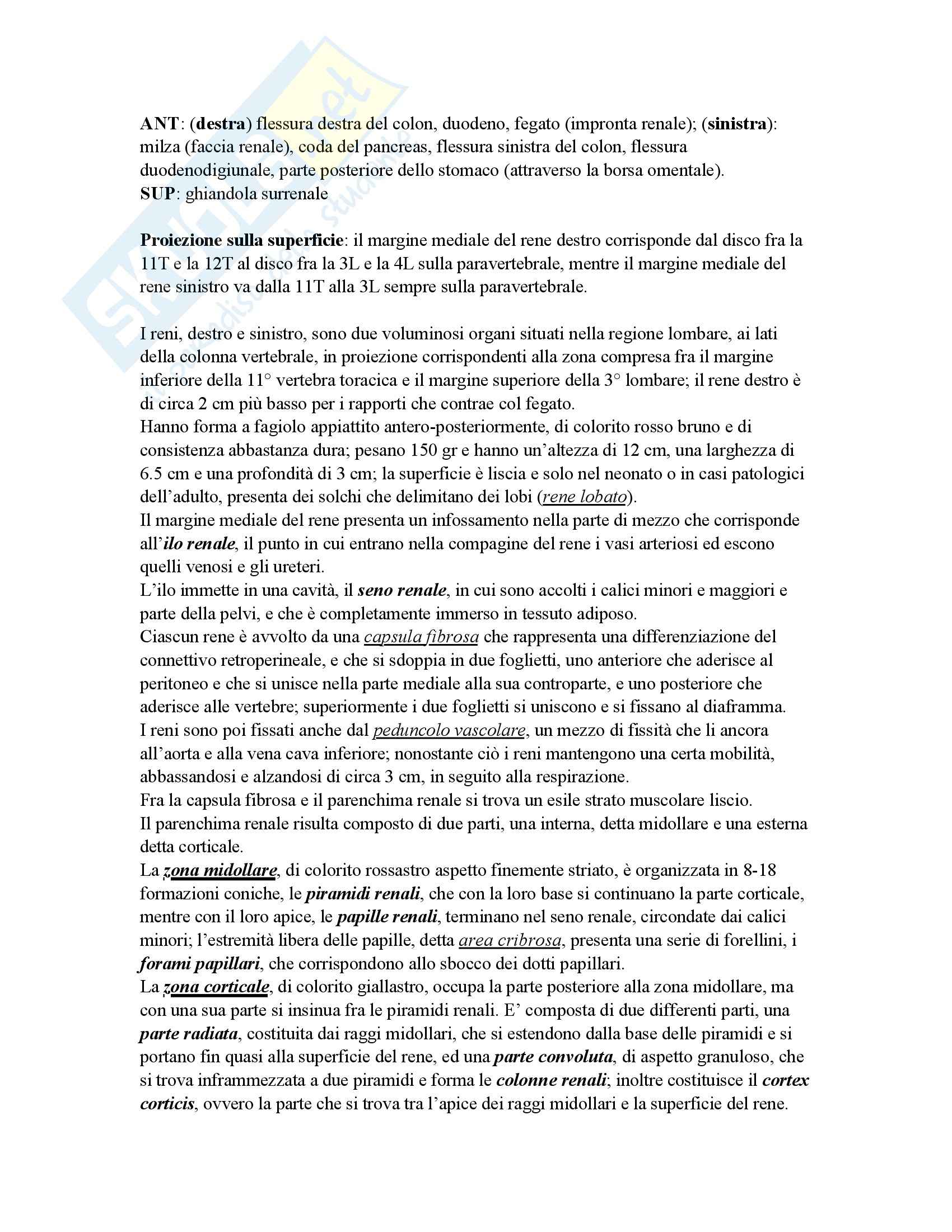 Medicina - apparati - Appunti Pag. 116