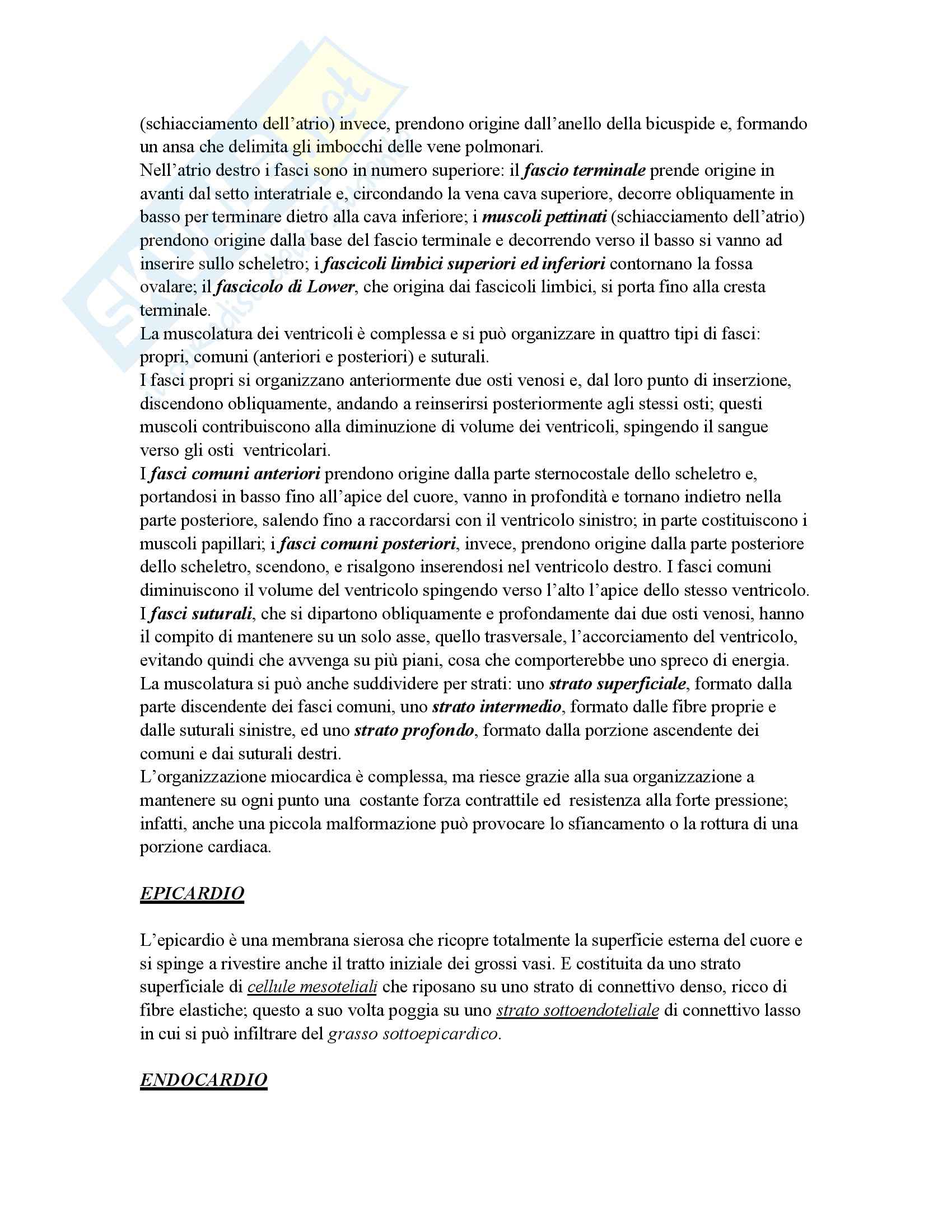 Medicina - apparati - Appunti Pag. 6