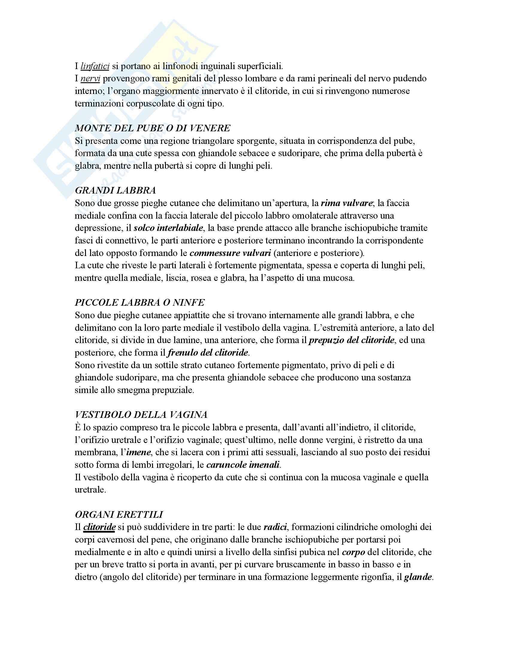 Medicina - apparati - Appunti Pag. 96