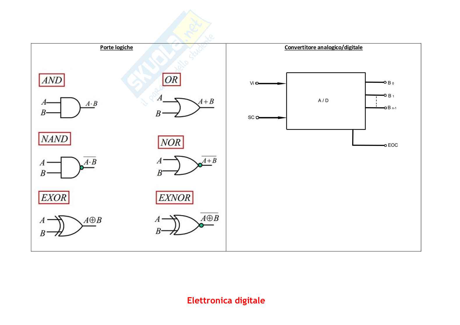 Formulario elettronica Pag. 11