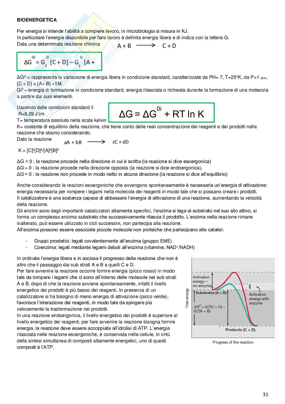 Appunti di Microbiologia e virologia Pag. 31