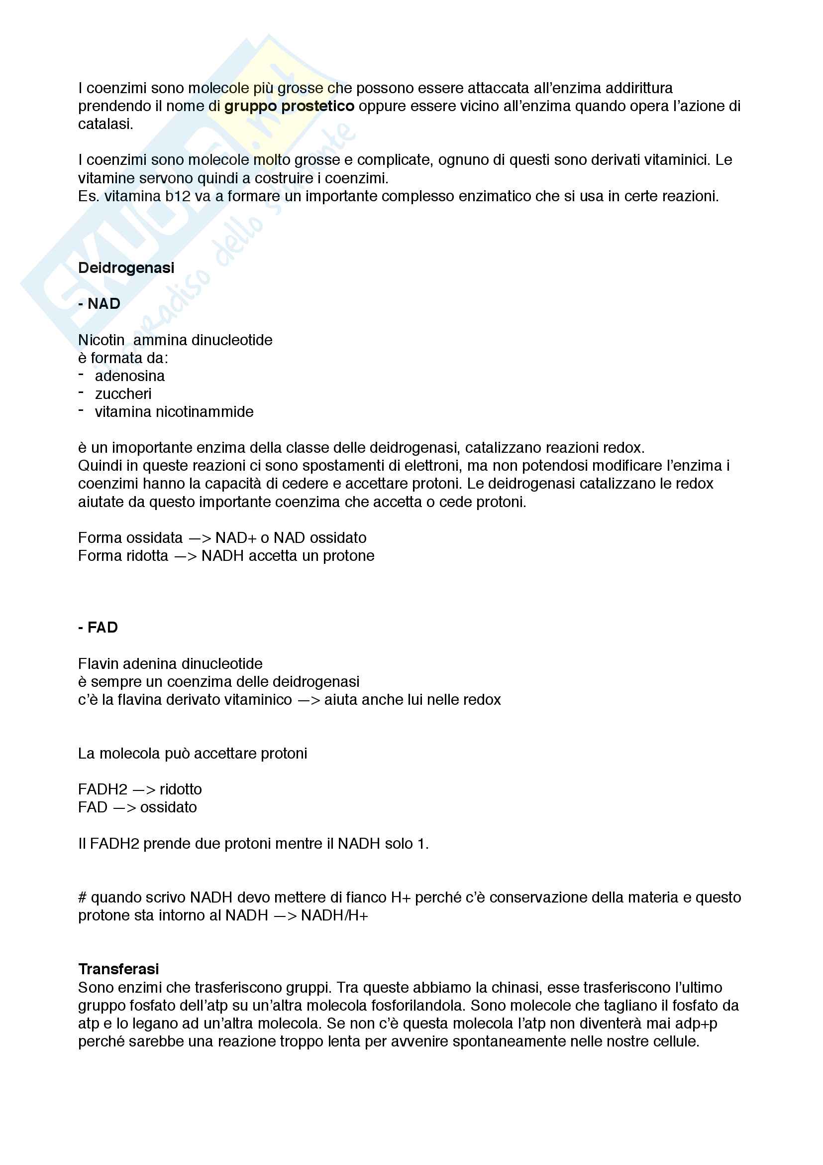 Enzimi e regolazione enzimatica Pag. 2