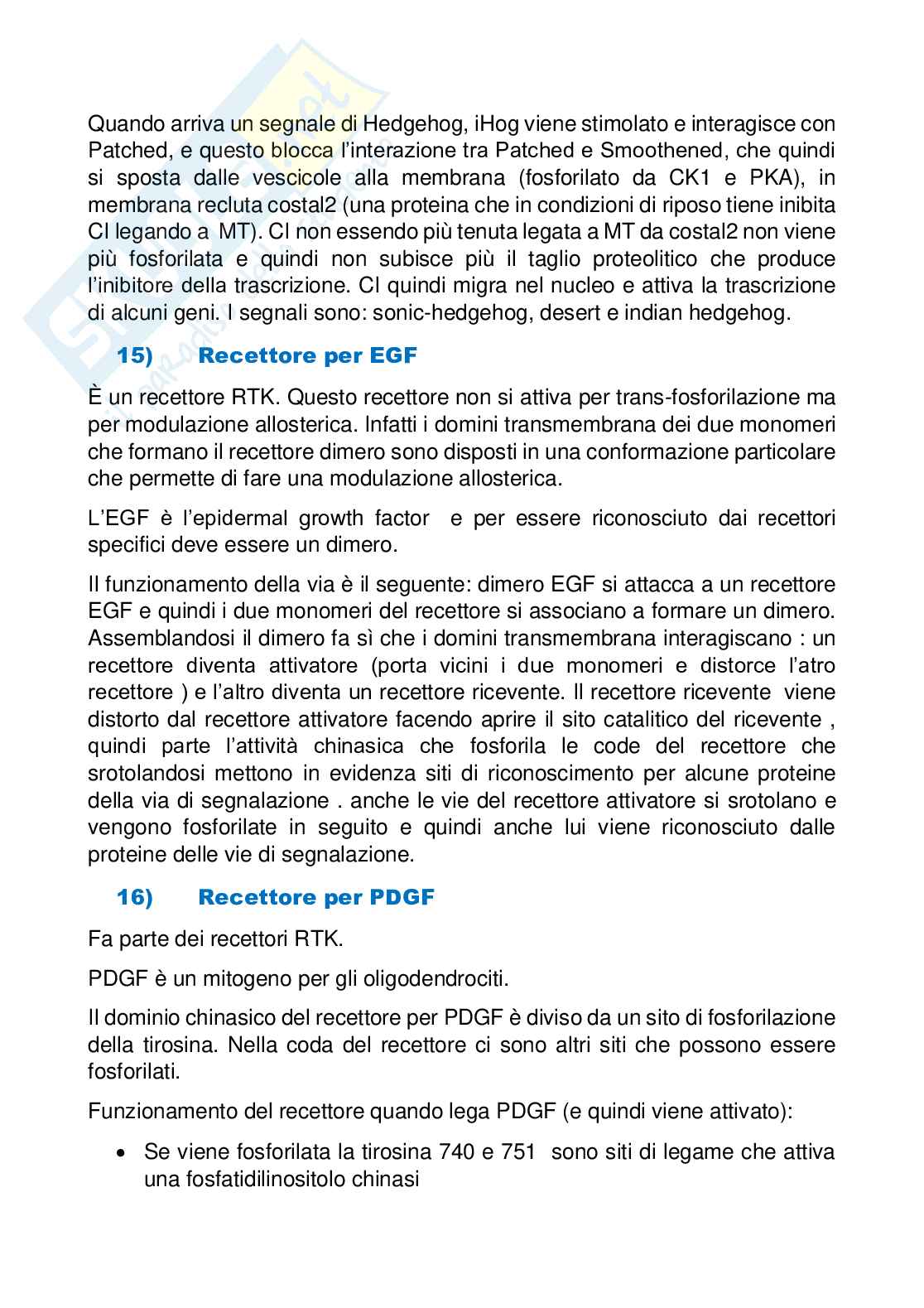 Domande di Biologia cellulare Pag. 16