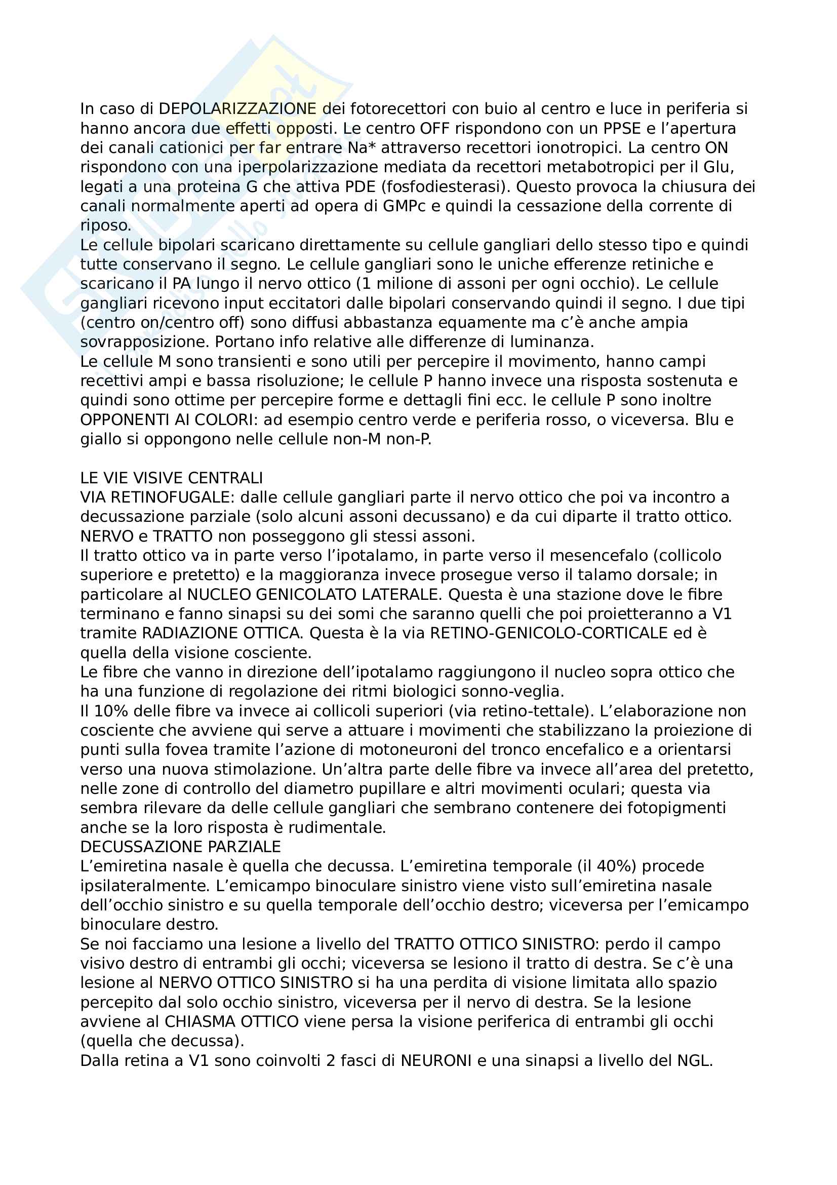 Psicbiologia - parte 2 (Regolin/Dadda) Pag. 11