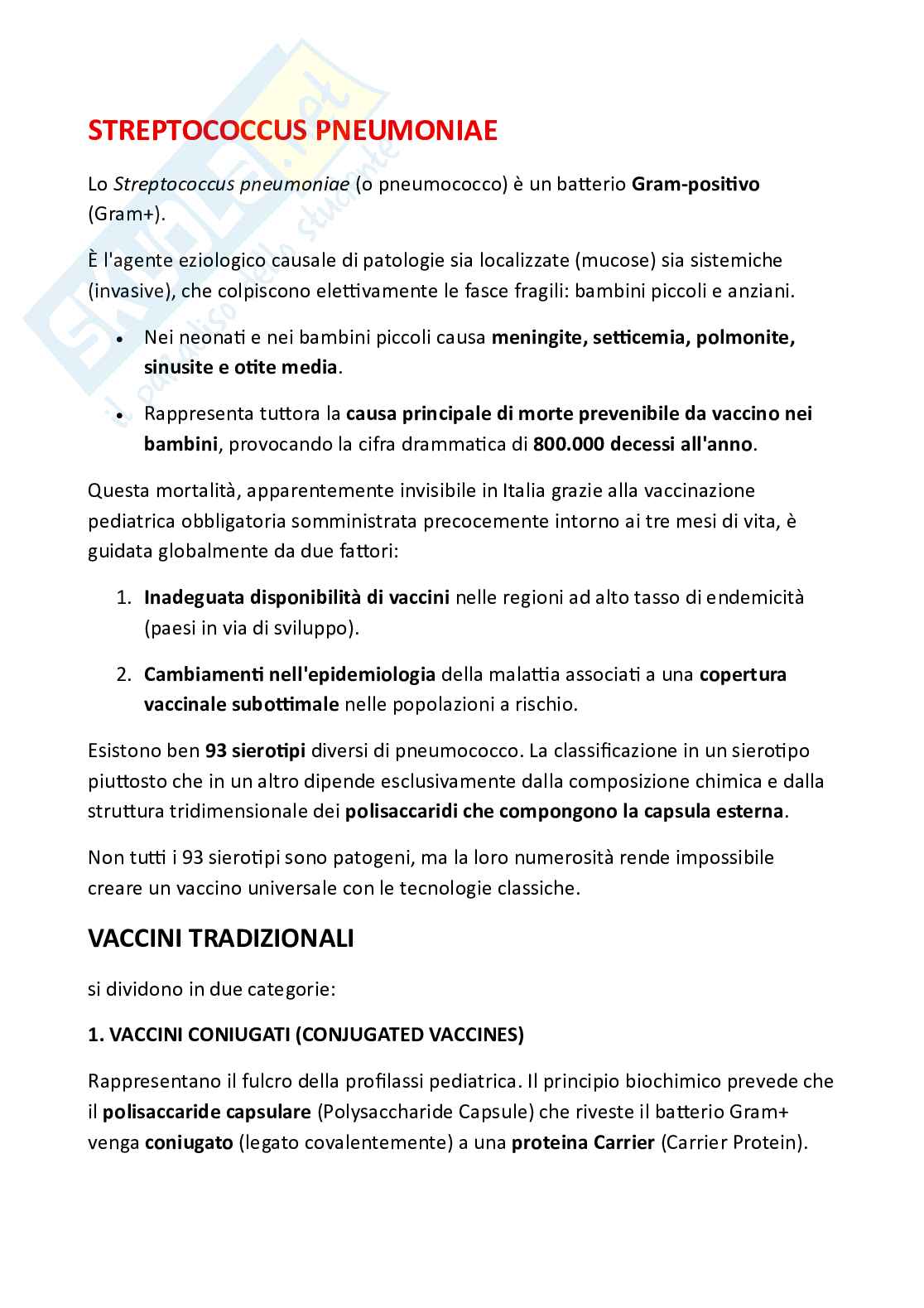 Scheda di approfondimento su Streptococcus pneumoniae e strategie vaccinali Pag. 1