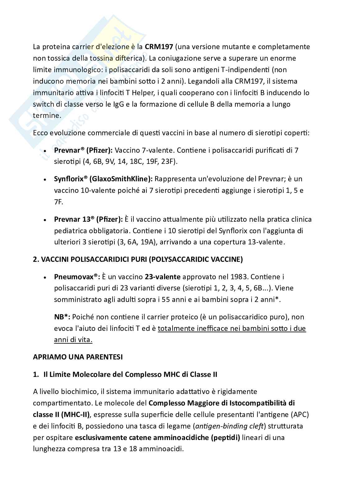 Scheda di approfondimento su Streptococcus pneumoniae e strategie vaccinali Pag. 2