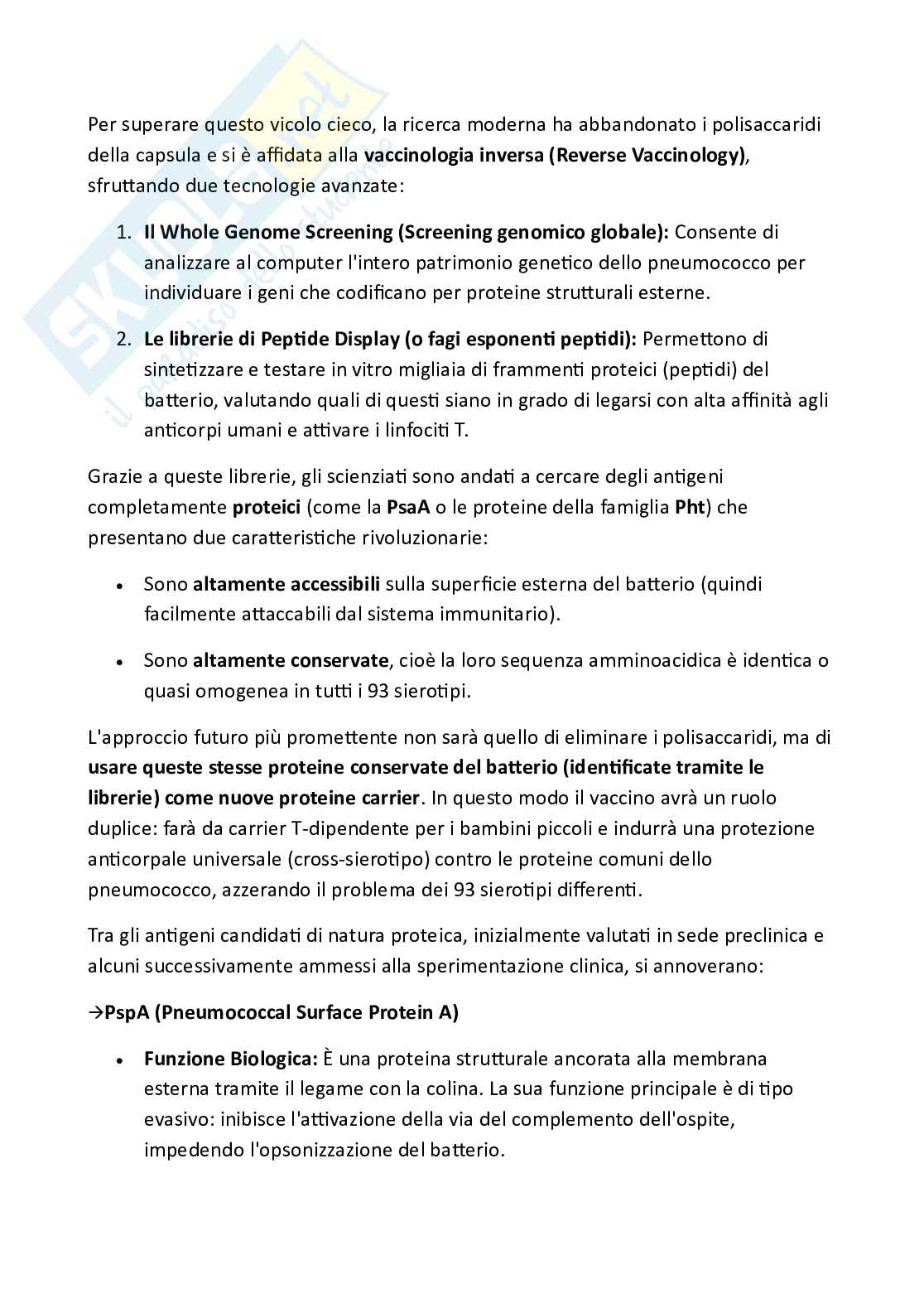 Scheda di approfondimento su Streptococcus pneumoniae e strategie vaccinali Pag. 6