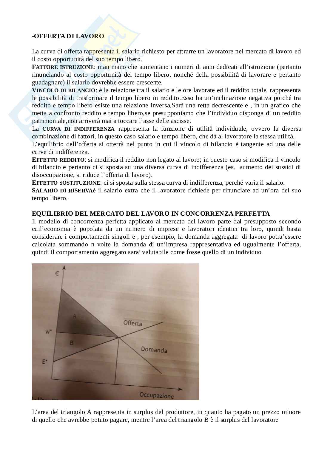 Domande esame Economia del lavoro Pag. 2