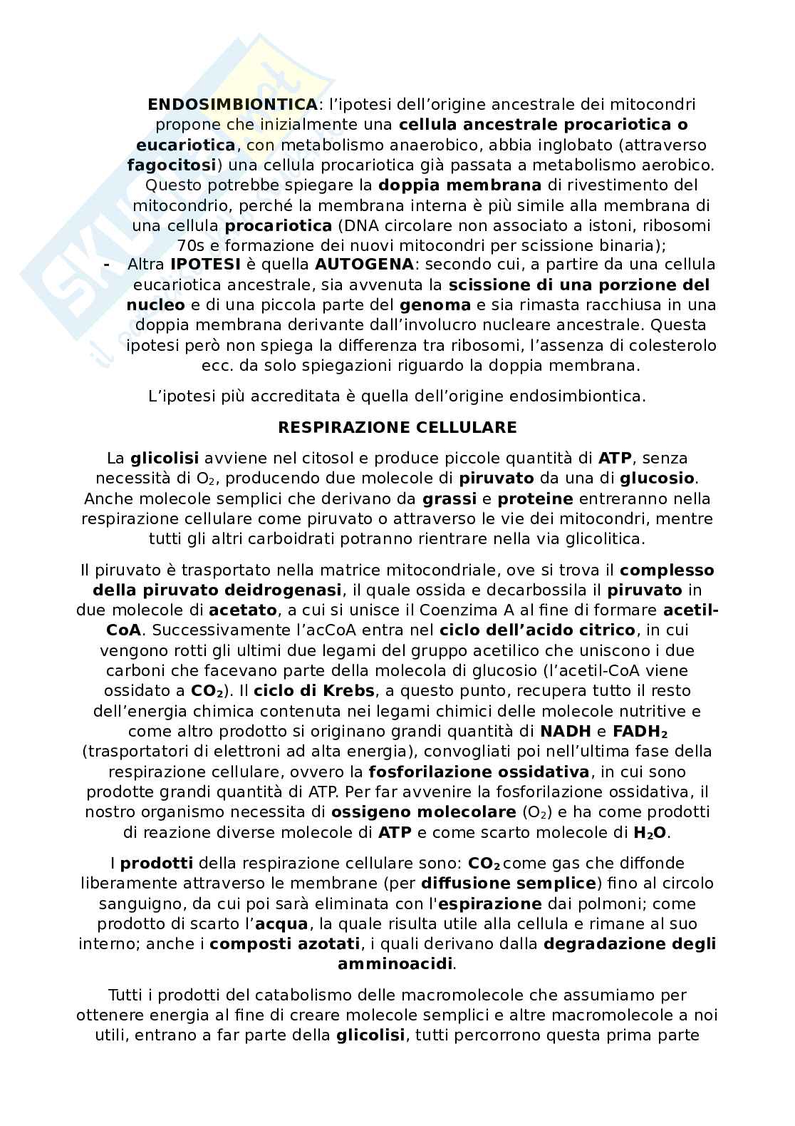 Appunti Citologia e istologia Pag. 11