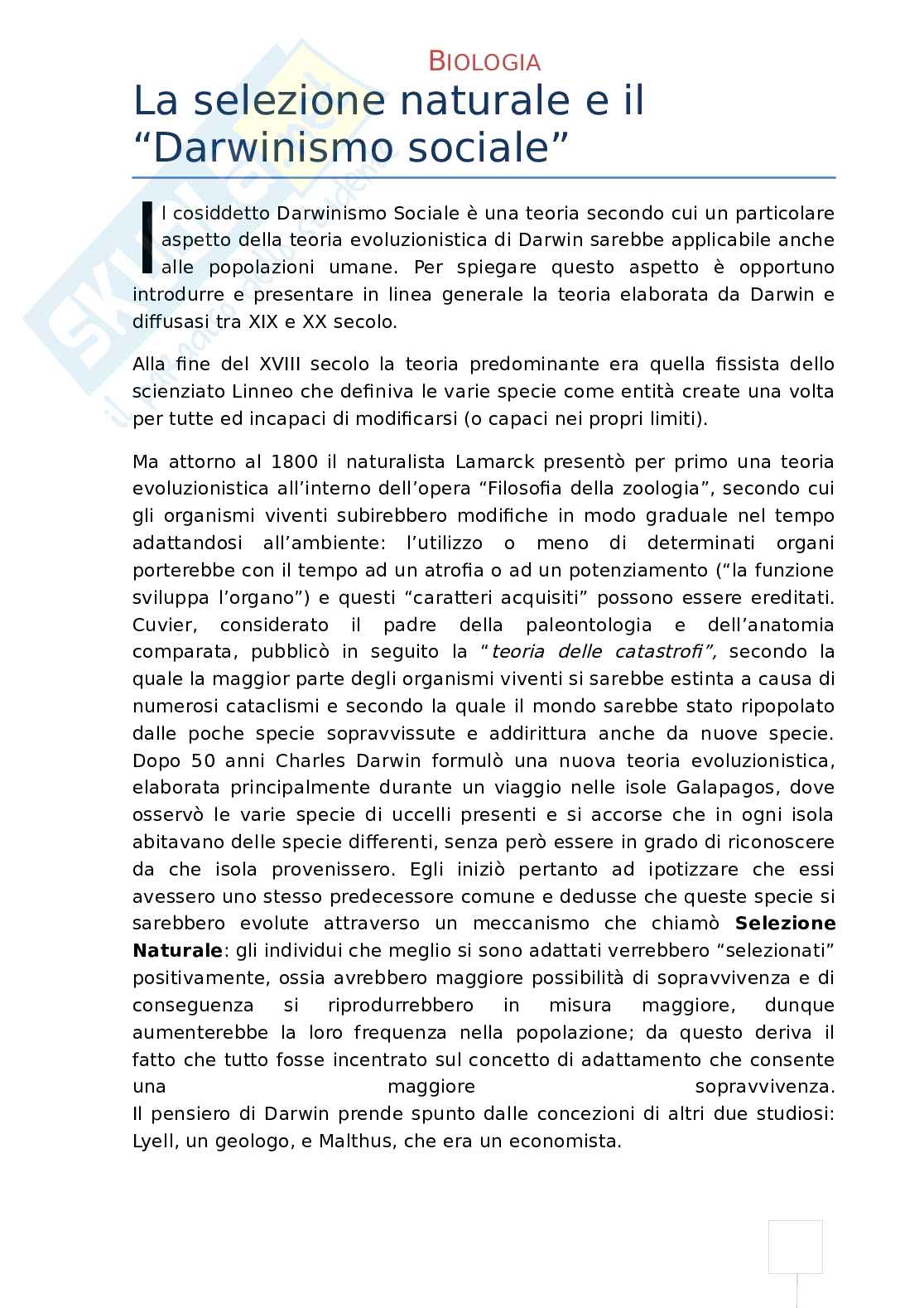 Relativismo, re del mondo - Tesina per liceo scientifico tecnologico Pag. 11