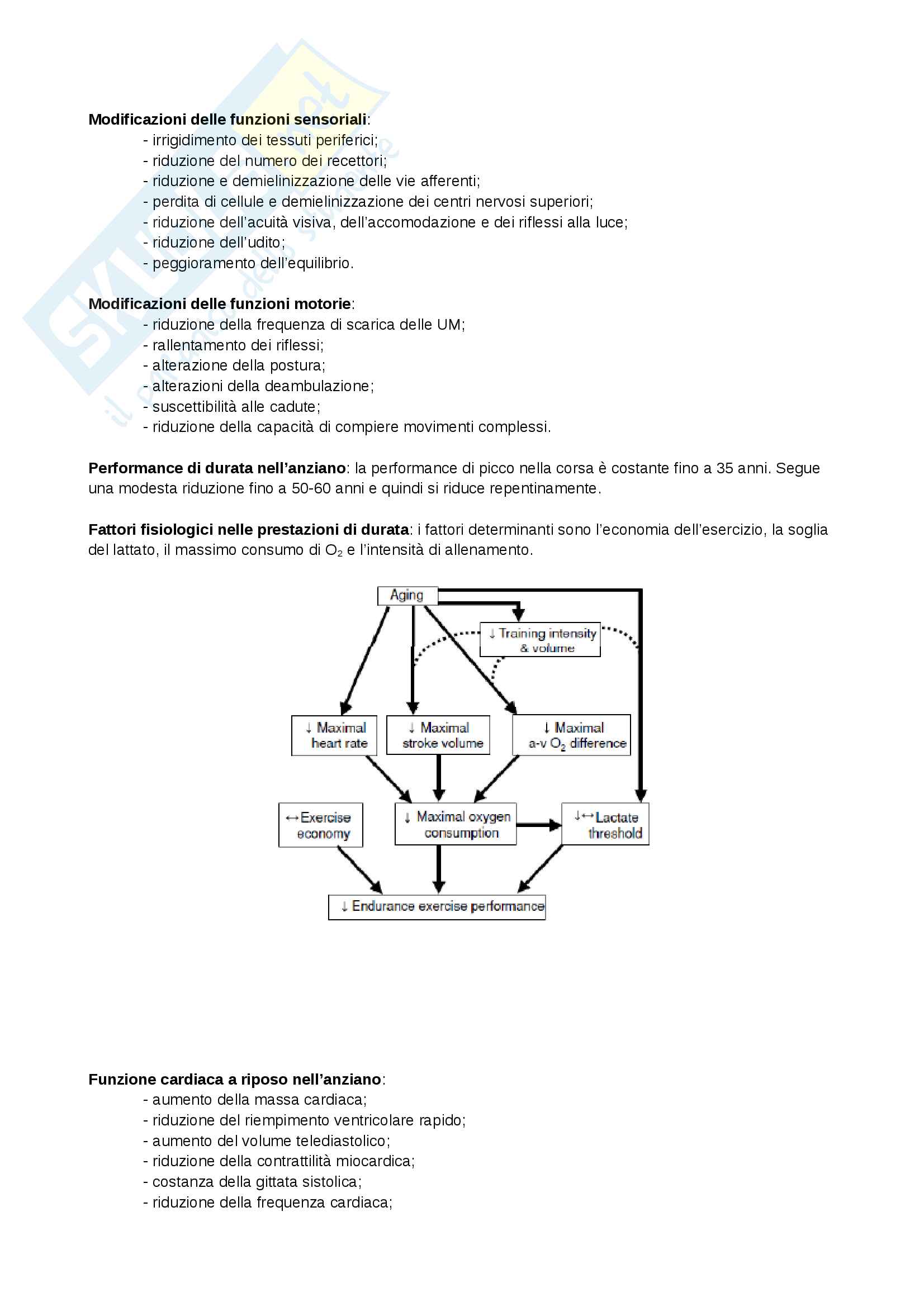 Appunti - Fisiologia sportiva Pag. 36