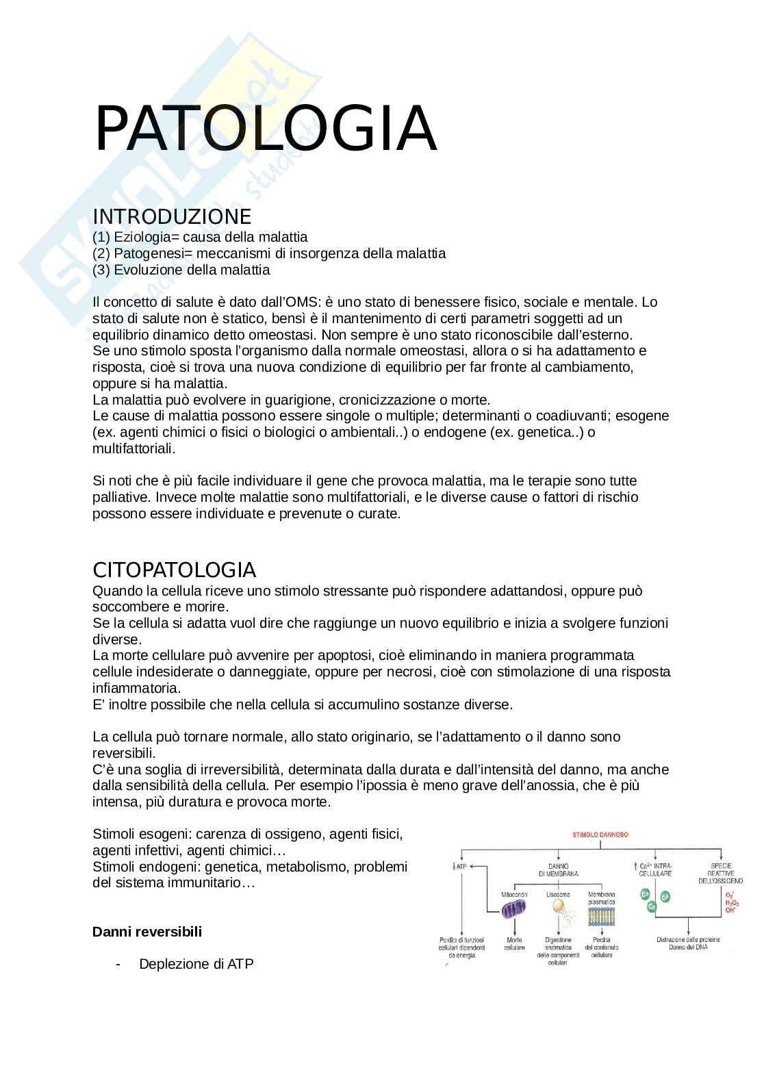 Patologia Pag. 1