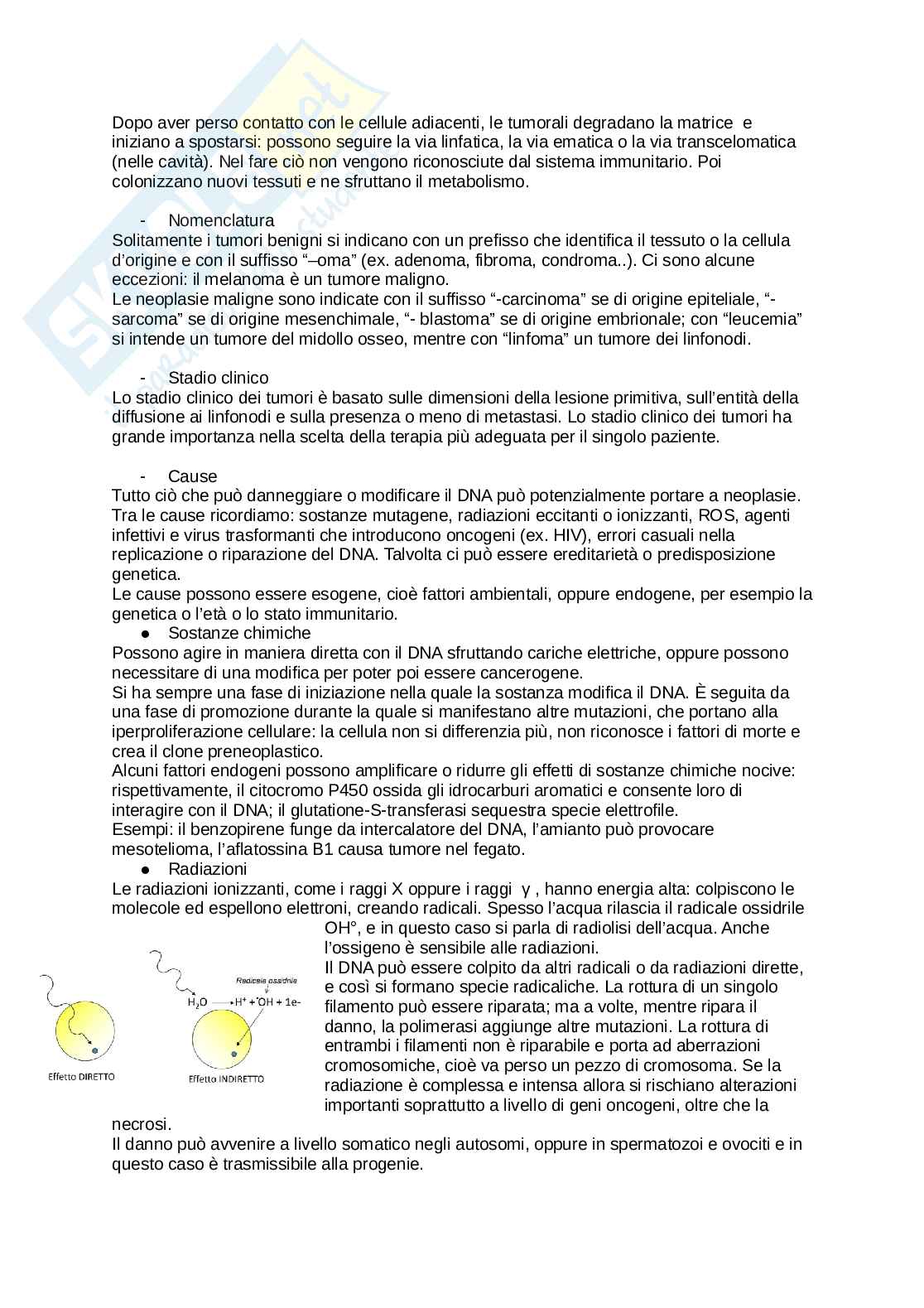 Patologia Pag. 16