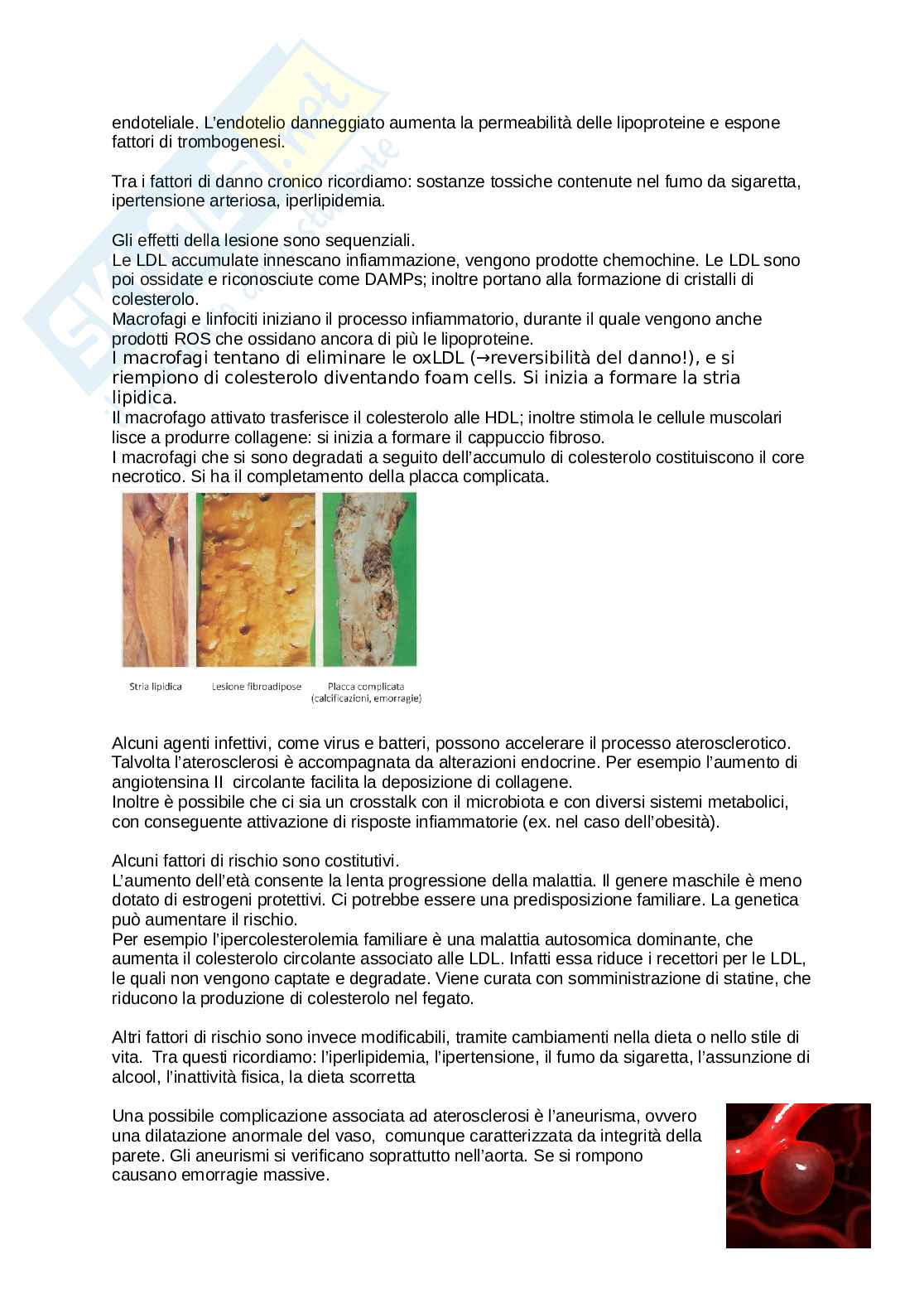 Patologia Pag. 36