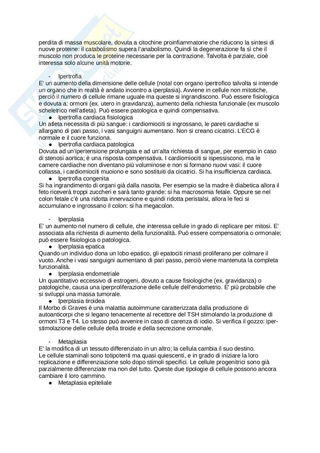 Patologia Pag. 6