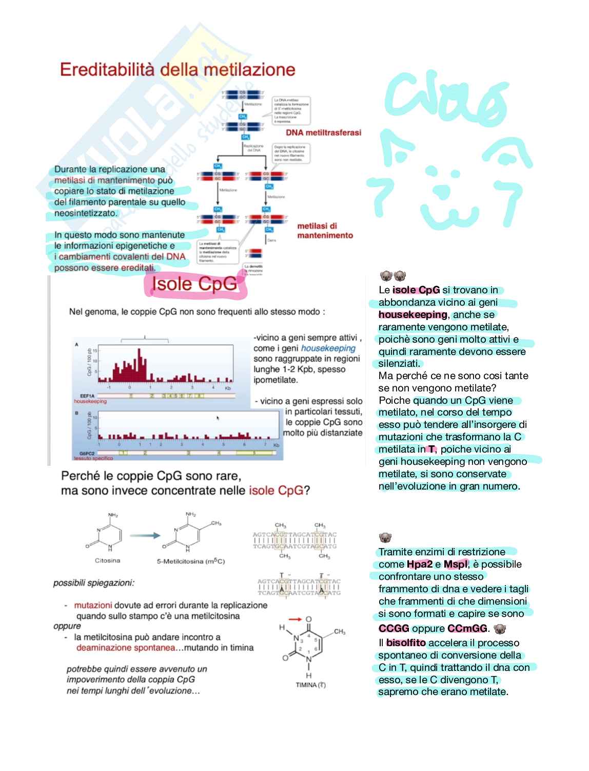 Lezione di Biologia molecolare Pag. 2