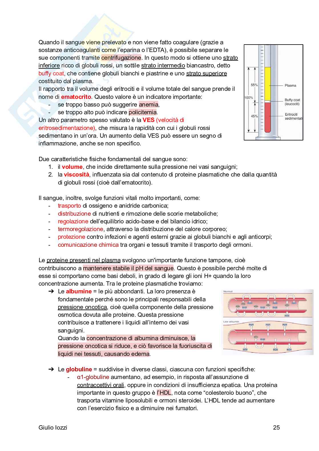Fisiologia generale Pag. 26