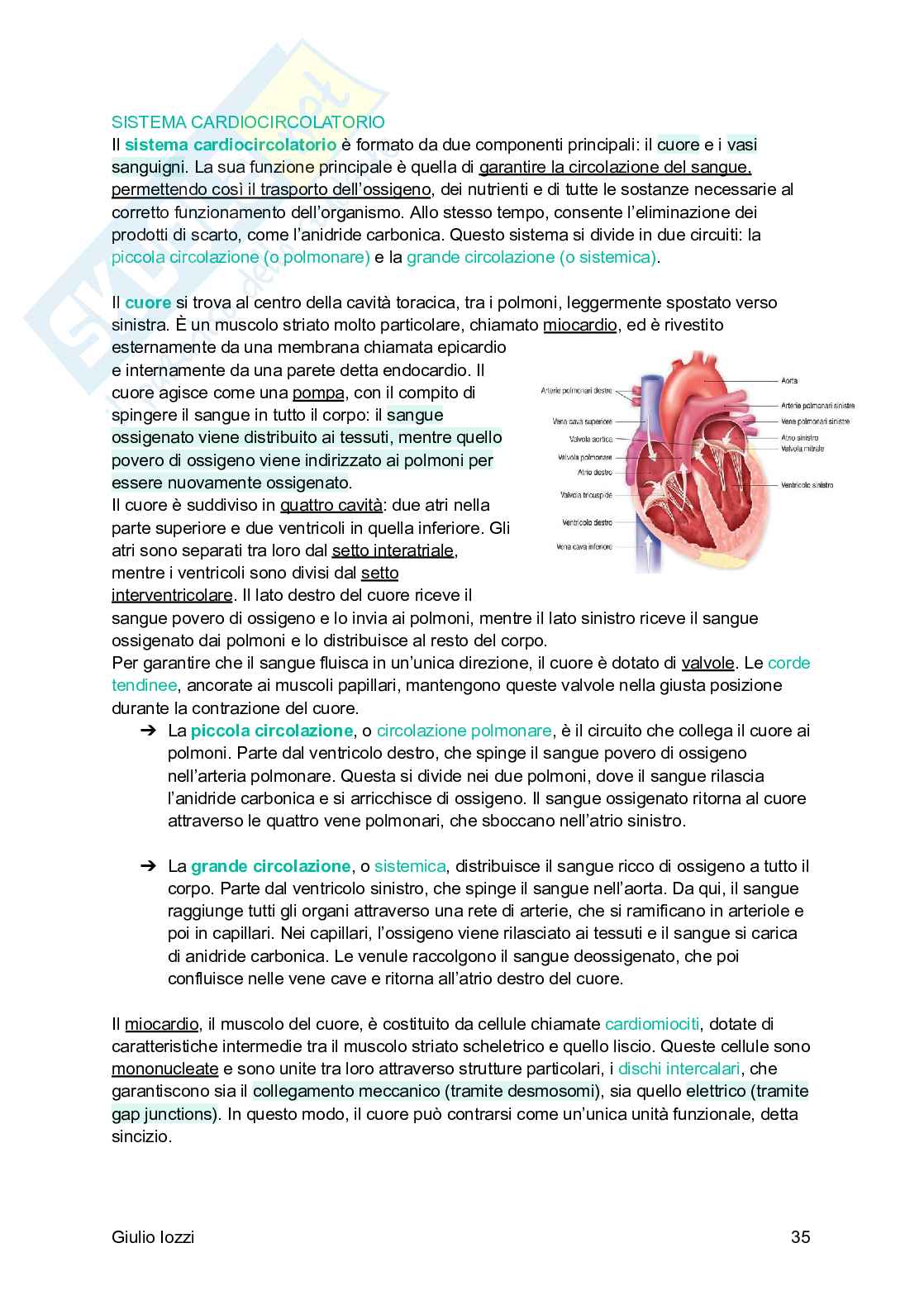 Fisiologia generale Pag. 36