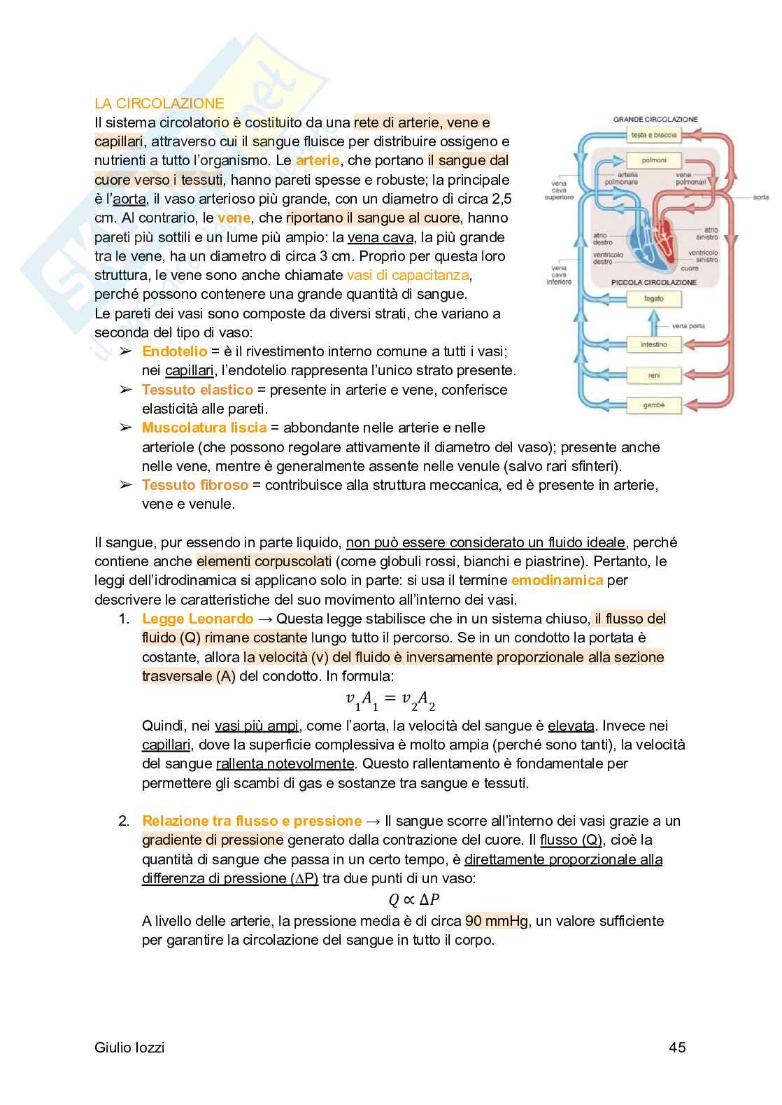 Fisiologia generale Pag. 46