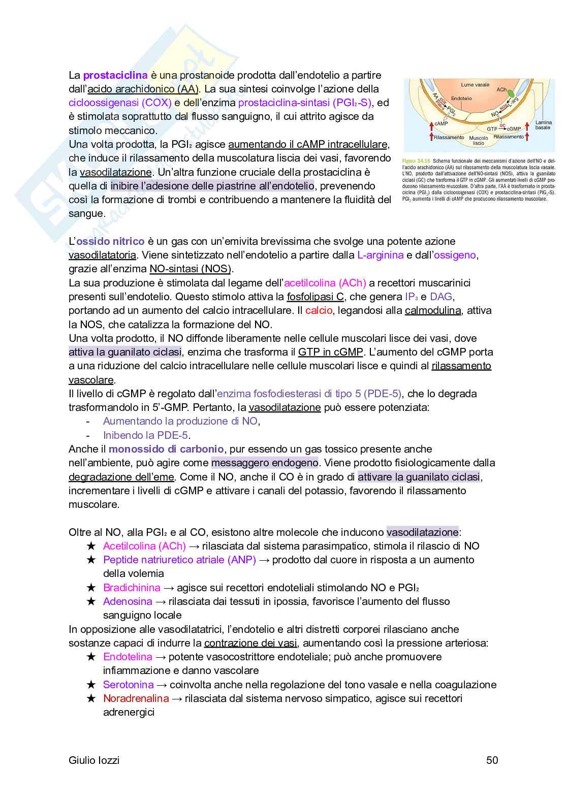 Fisiologia generale Pag. 51
