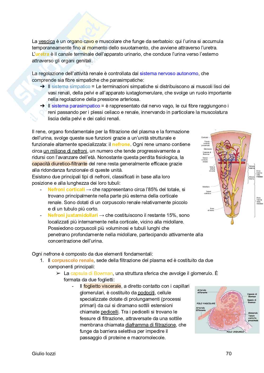 Fisiologia generale Pag. 71