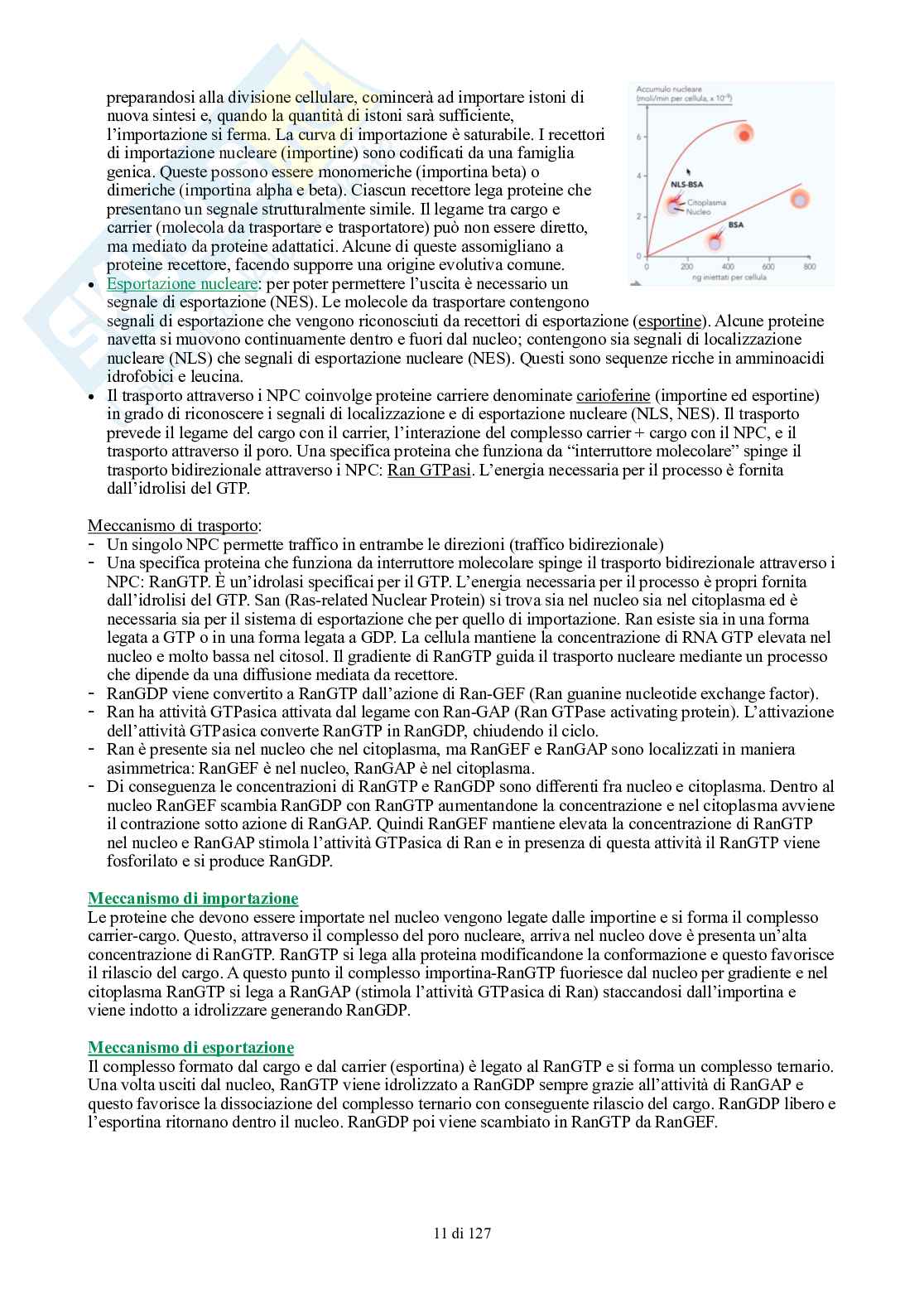 Appunti di Biologia generale Pag. 11