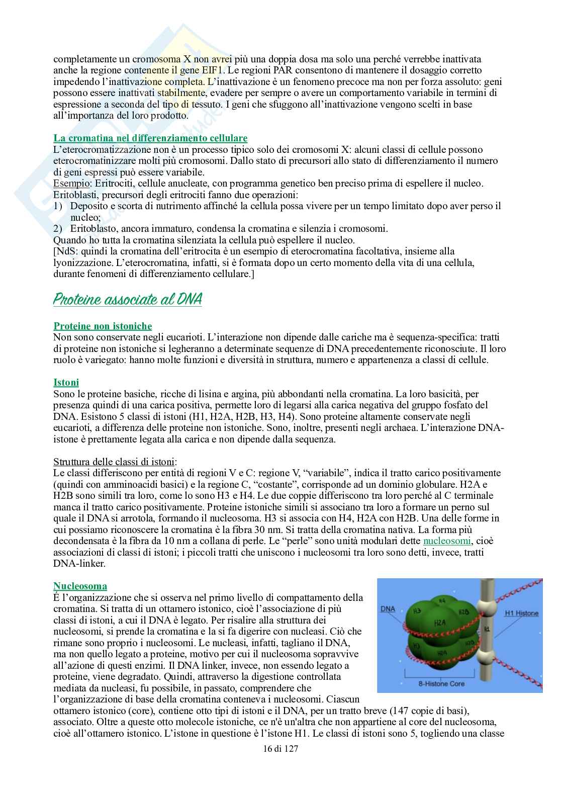 Appunti di Biologia generale Pag. 16