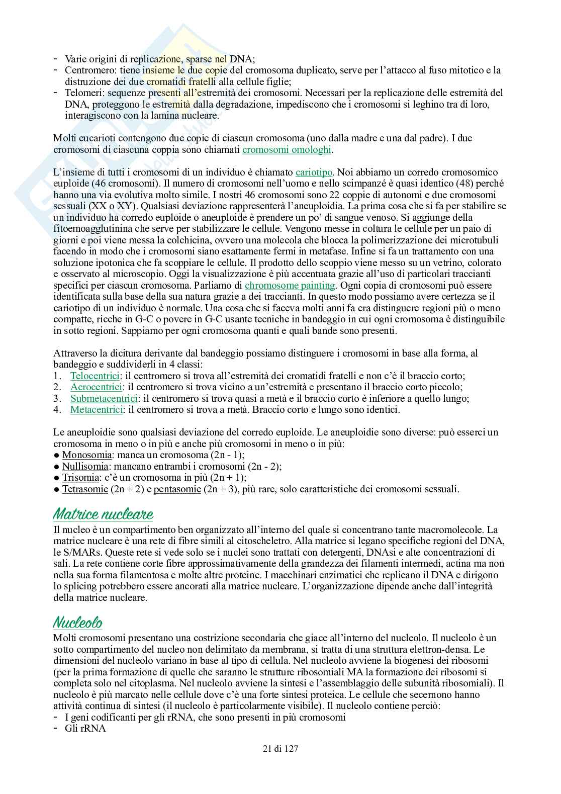 Appunti di Biologia generale Pag. 21