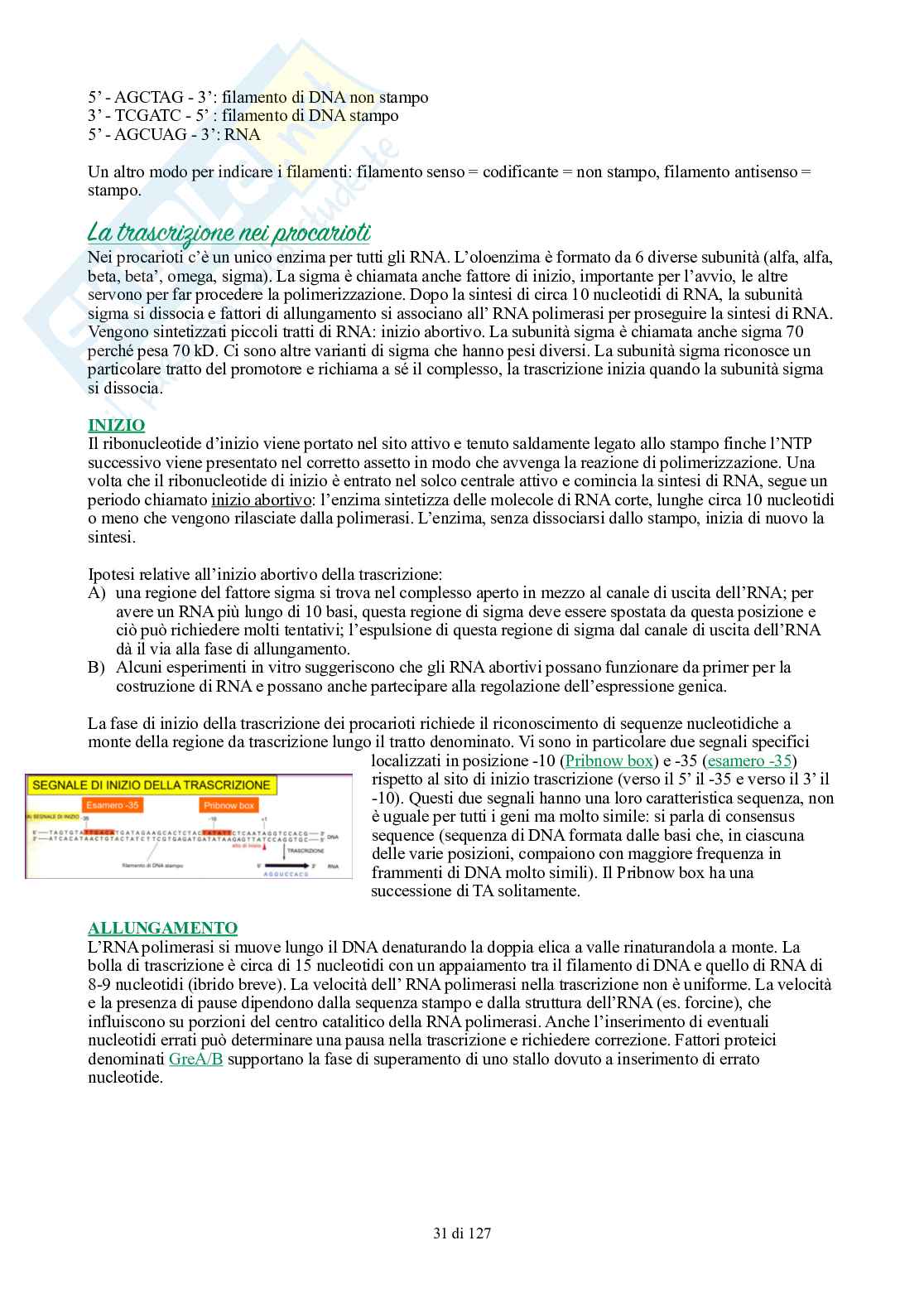 Appunti di Biologia generale Pag. 31