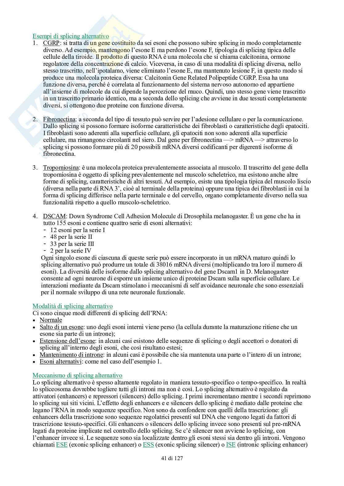 Appunti di Biologia generale Pag. 41