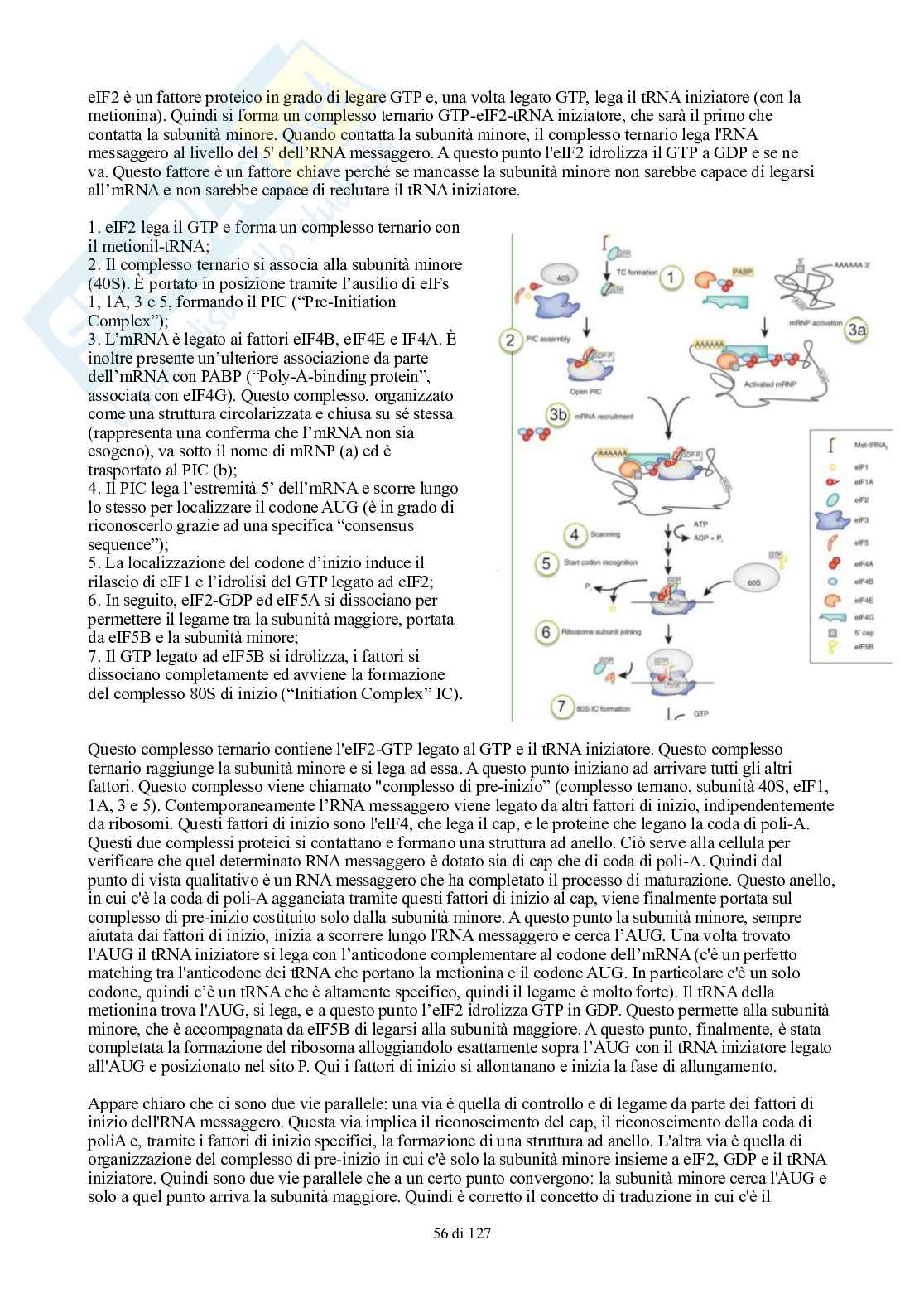 Appunti di Biologia generale Pag. 56