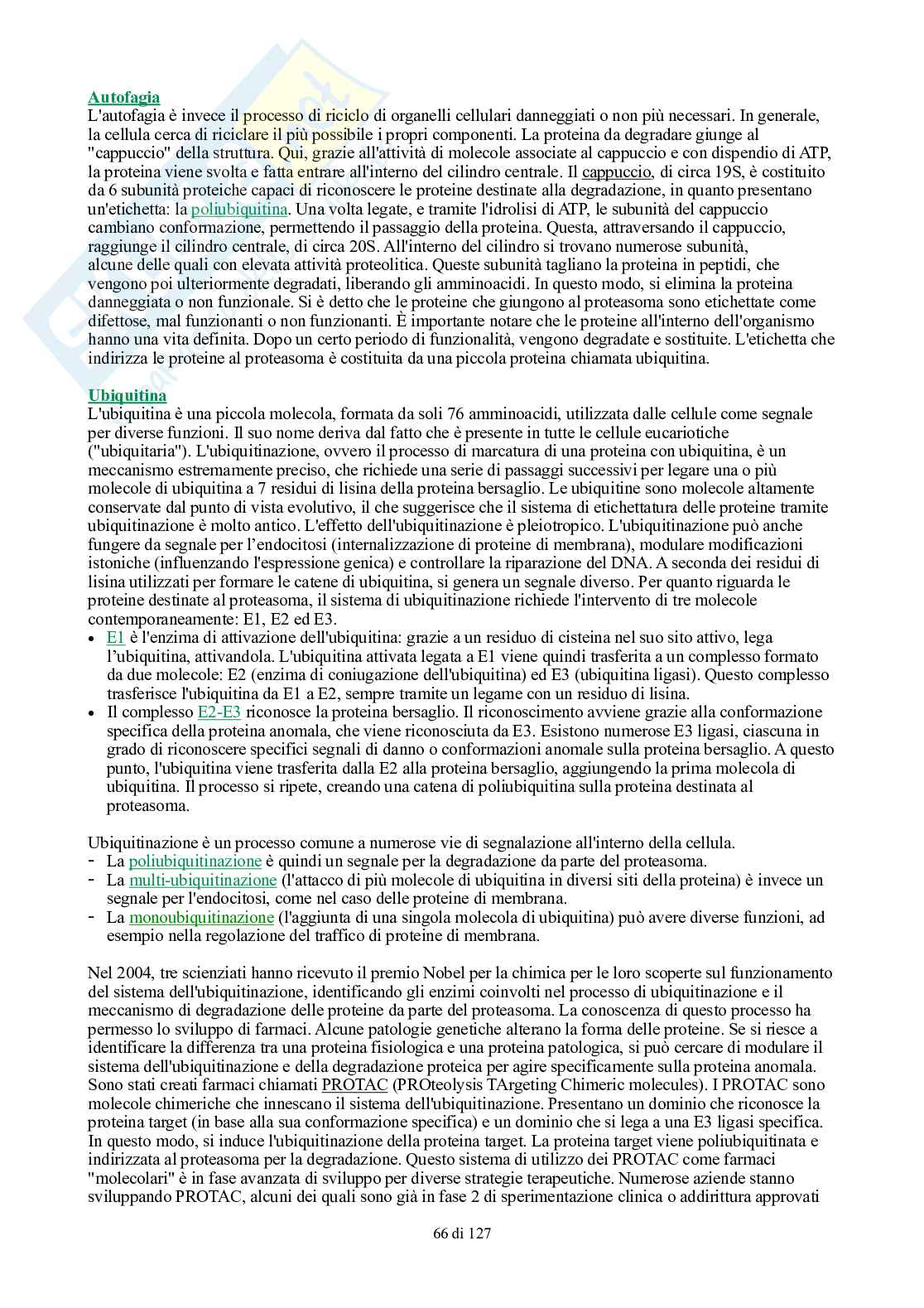 Appunti di Biologia generale Pag. 66