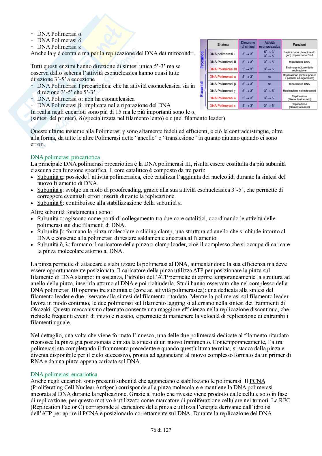 Appunti di Biologia generale Pag. 76