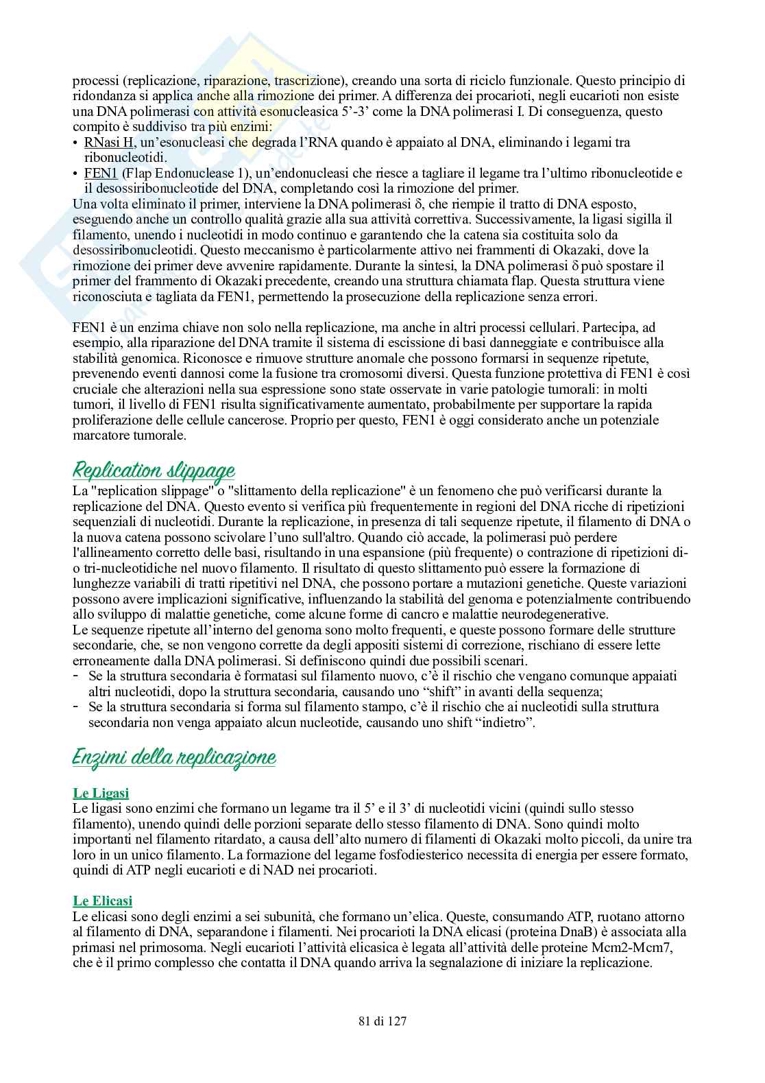 Appunti di Biologia generale Pag. 81