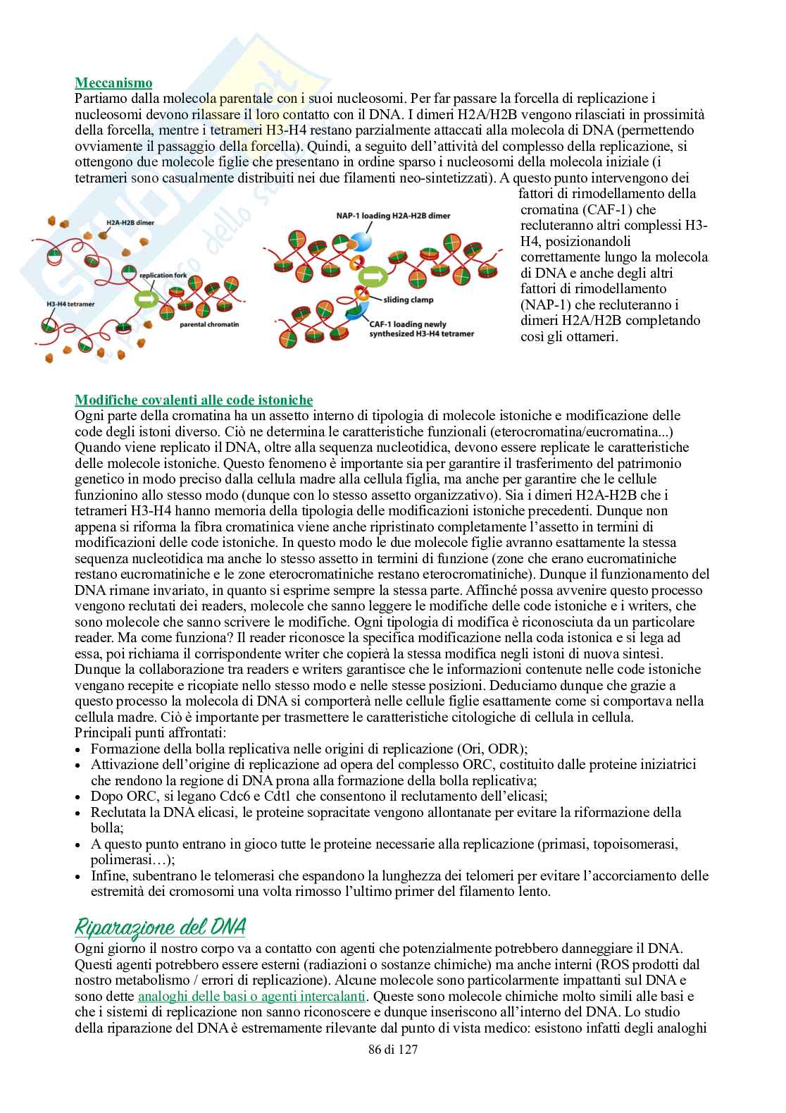 Appunti di Biologia generale Pag. 86