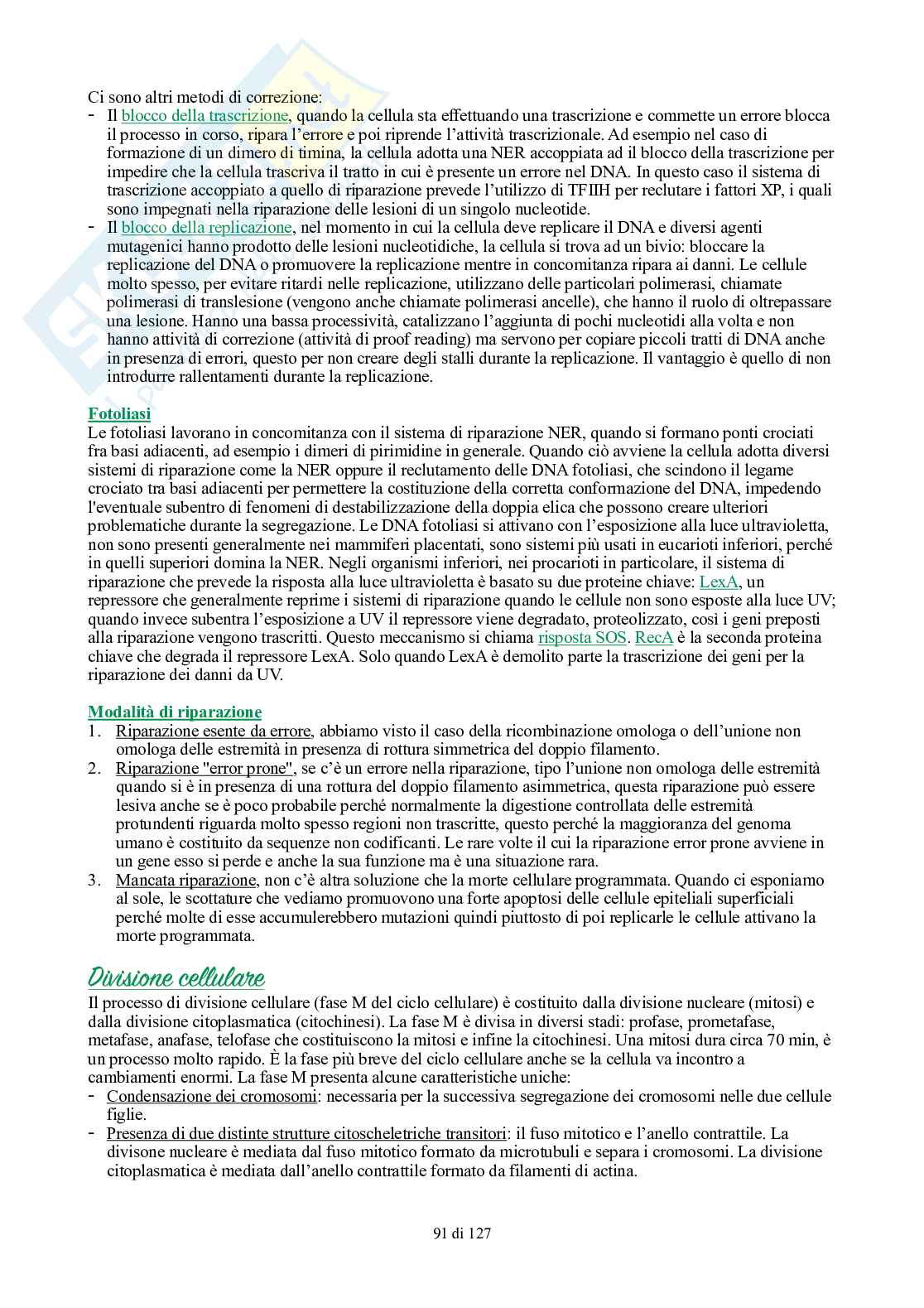 Appunti di Biologia generale Pag. 91