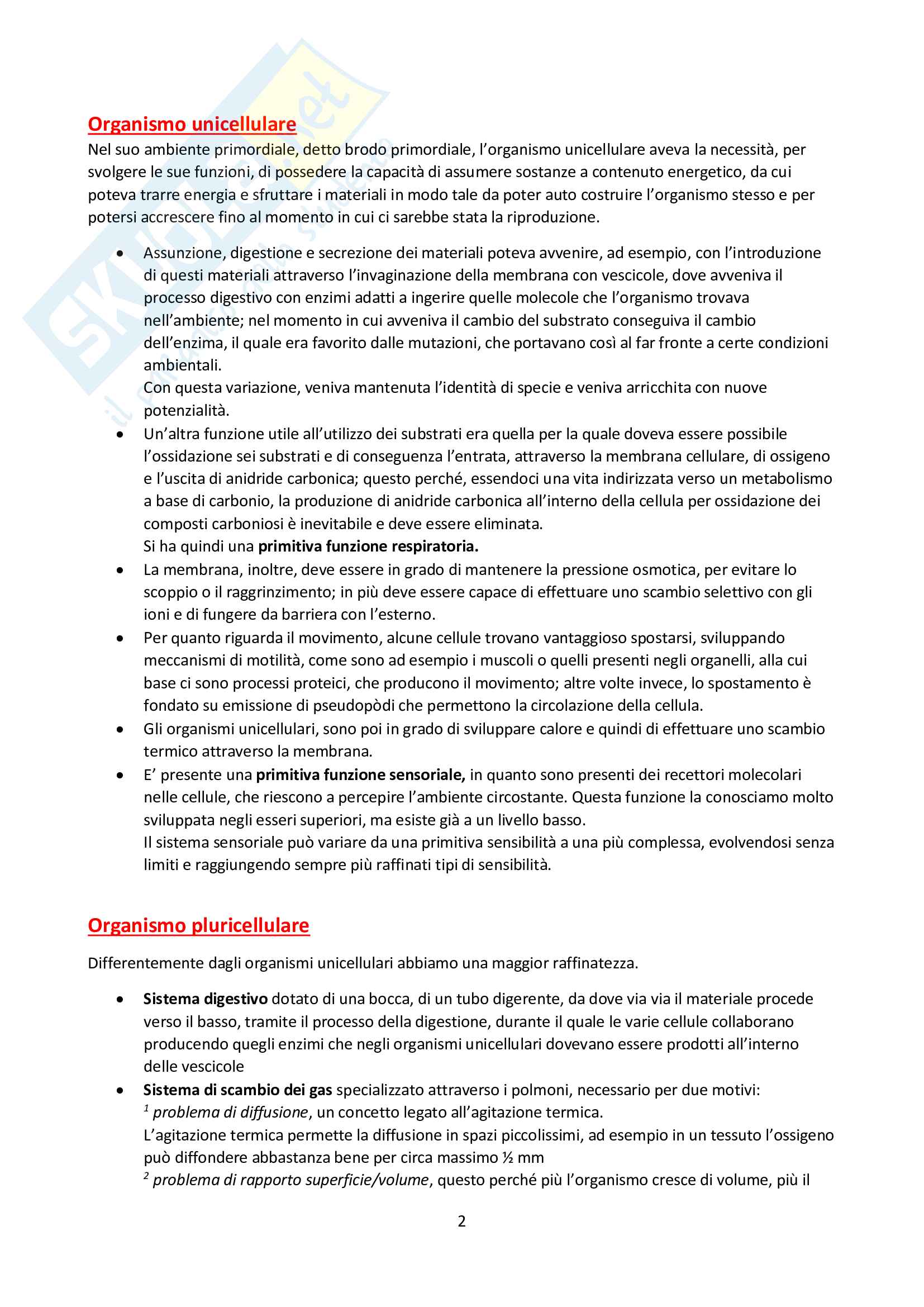 Fisiologia umana - Formenti e Brambilla Pag. 2