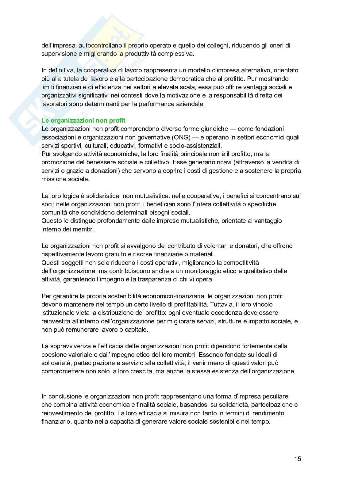 Riassunto esame Economia e gestione delle imprese, Prof. Picciotti Antonio, libro consigliato Economia e management delle imprese , Ferrucci, Tunisini, Pencarelli Pag. 16