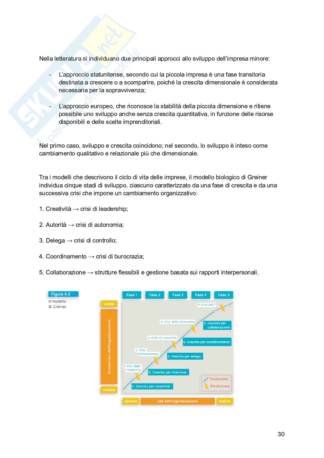 Riassunto esame Economia e gestione delle imprese, Prof. Picciotti Antonio, libro consigliato Economia e management delle imprese , Ferrucci, Tunisini, Pencarelli Pag. 31
