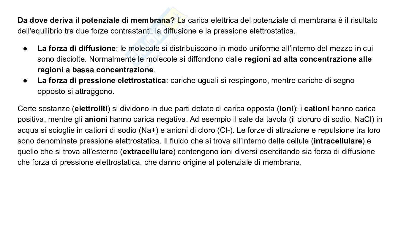 Struttura e funzioni del cervello Pag. 11