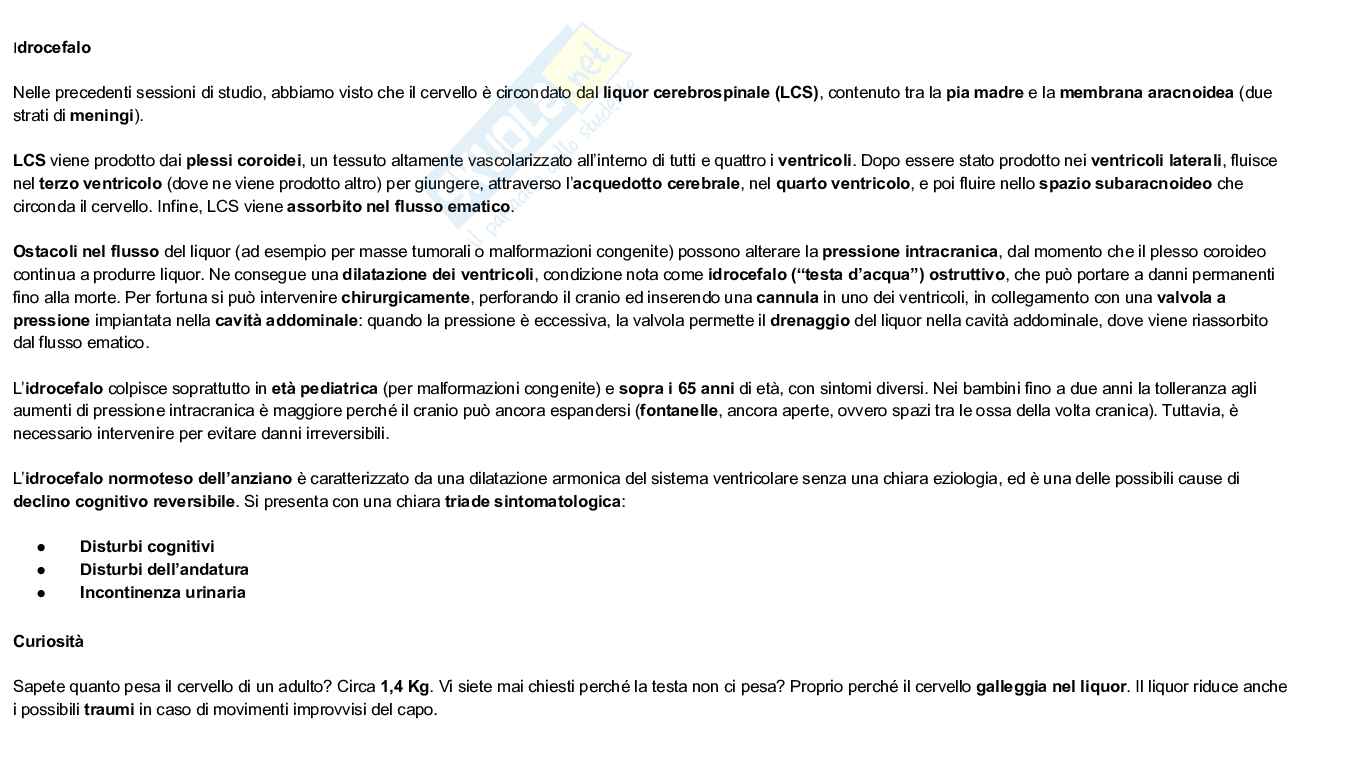 Struttura e funzioni del cervello Pag. 26