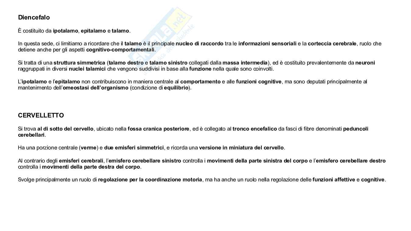Struttura e funzioni del cervello Pag. 31