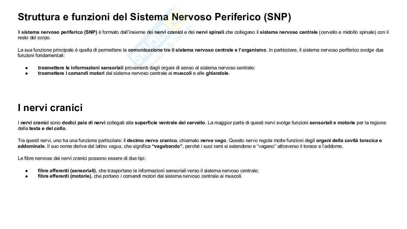 Struttura e funzioni del cervello Pag. 46