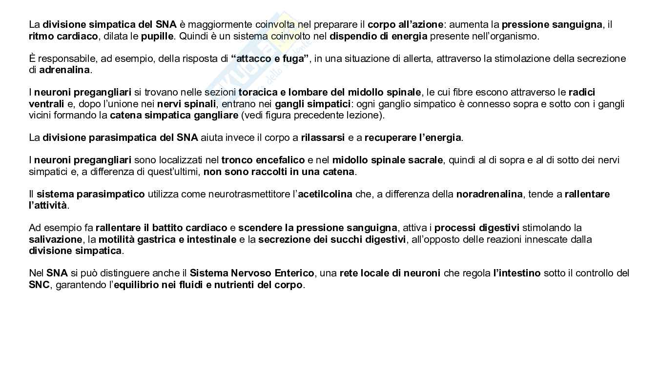 Struttura e funzioni del cervello Pag. 51