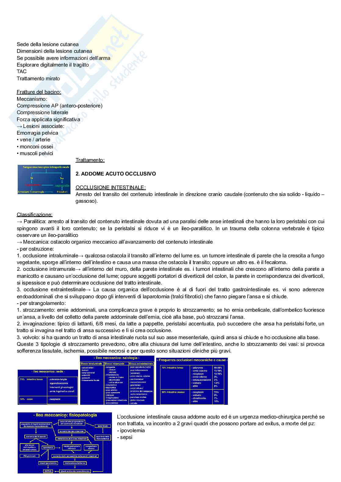 Medicina urgenza  Pag. 31