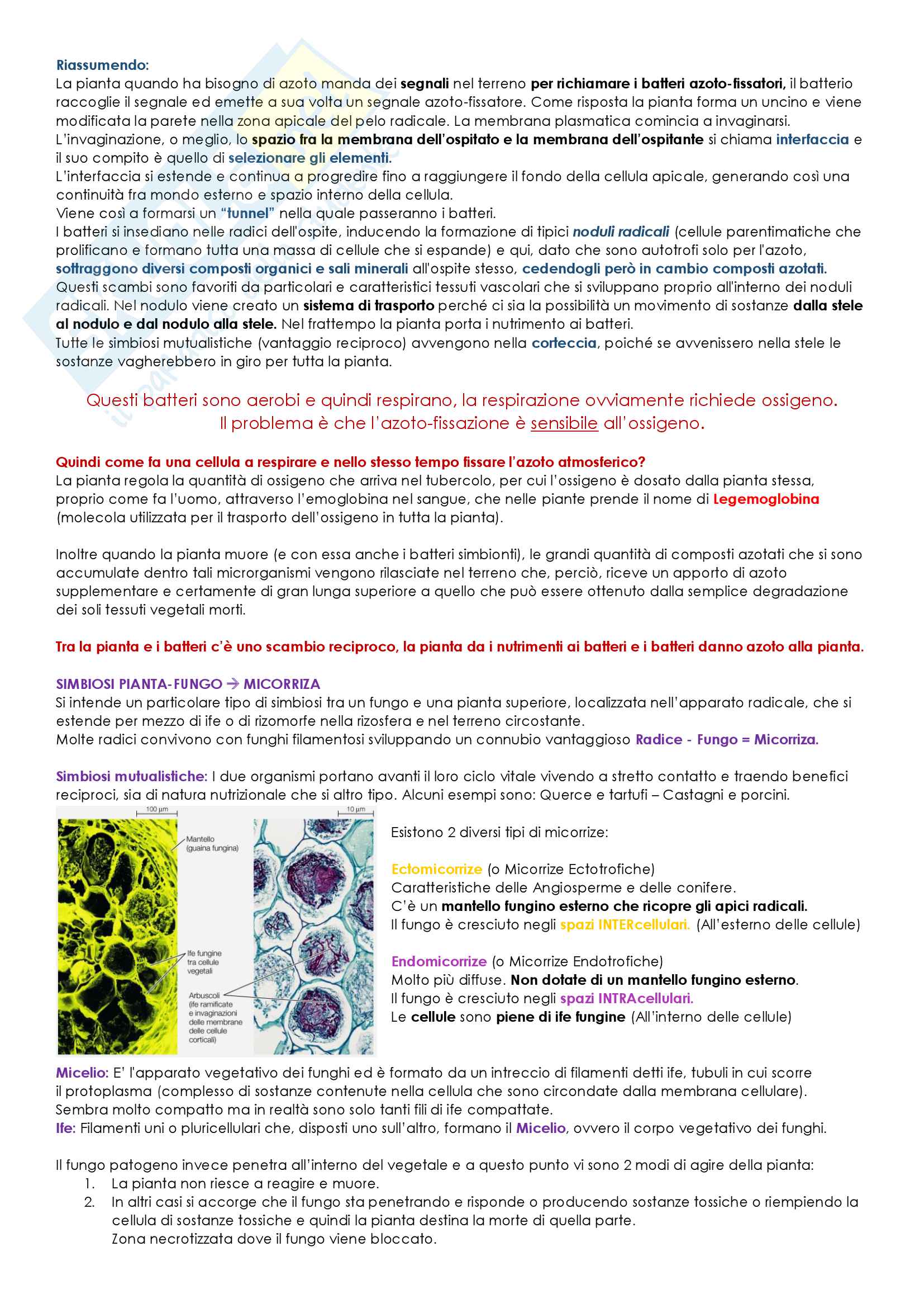 Biologia Vegetale Pag. 36